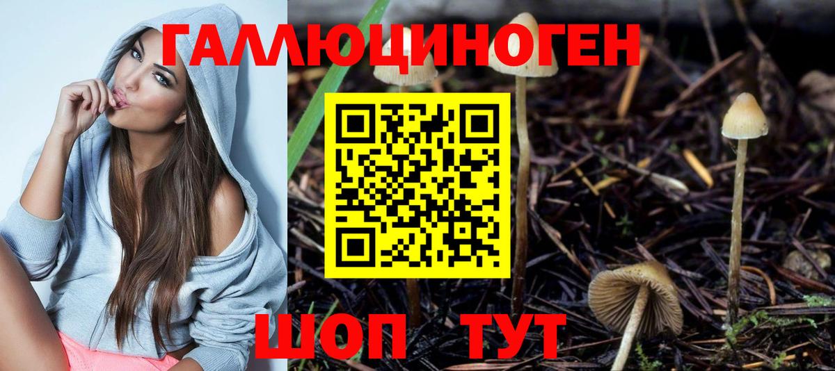 Галлюциногенные грибы прущие грибы Кувандык
