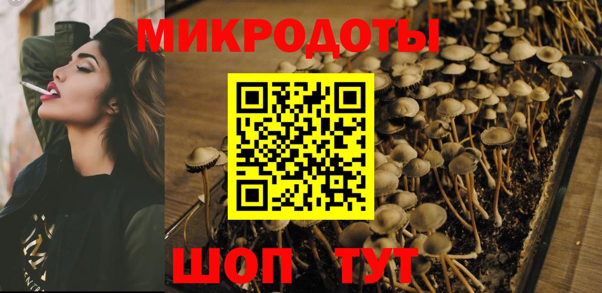 Кувандык  Псилоцибиновые грибы Magic Shrooms  Вход с VPN  Галлюциногенные грибы Psilocybine cubensis 
